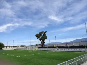 Municipal Stadium Tibás