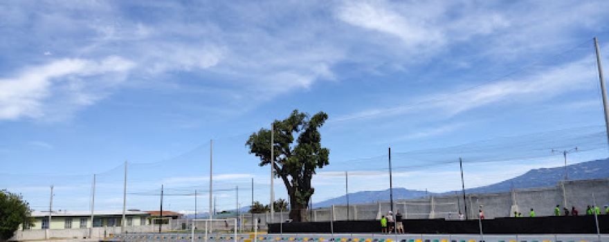 Municipal Stadium Tibás