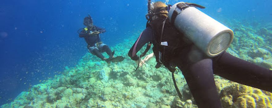Sea Explorer Dive Centre