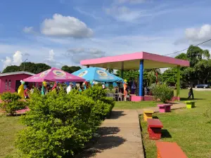 zona 5 Park