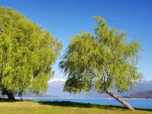 Camping Marina Colbun