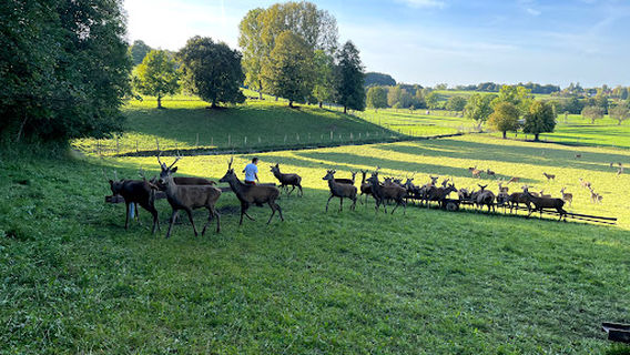 Wildgehege Andechs