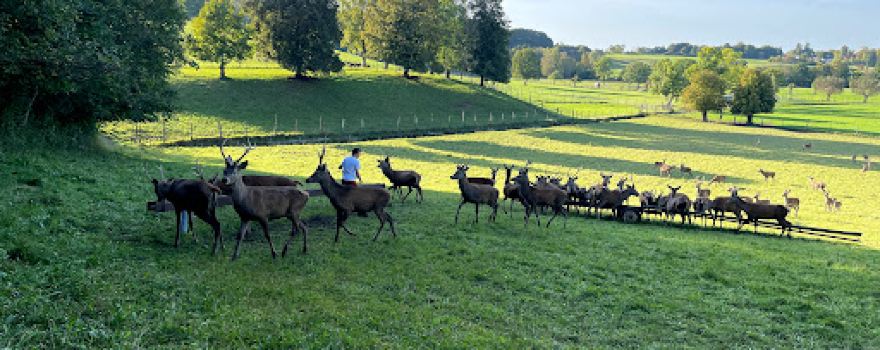 Wildgehege Andechs