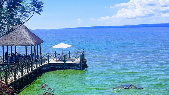 Kenya Wildlife Impala Park