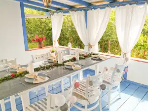 Grădina cu Sălcii