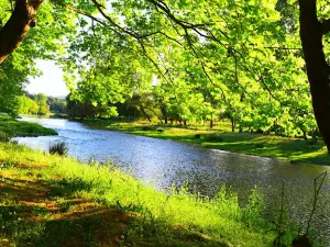 Kocaavşar Creek Picnic Area