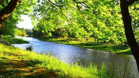 Kocaavşar Creek Picnic Area