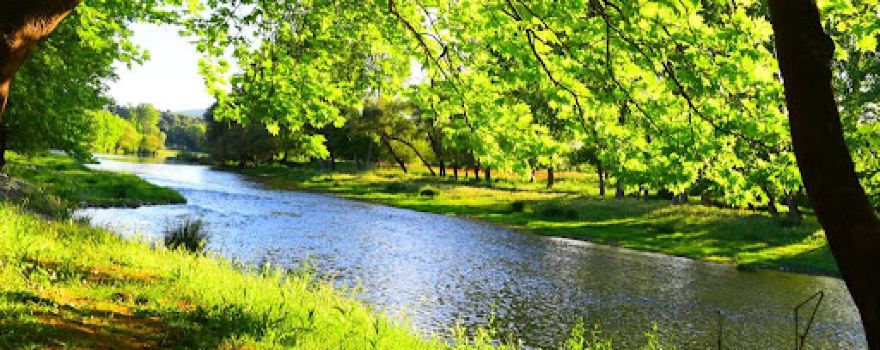 Kocaavşar Creek Picnic Area