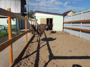 Bird Cottage petting zoo