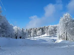 Eko izletište Viva Natura Busija