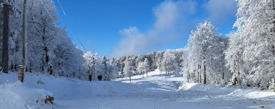 Eko izletište Viva Natura Busija
