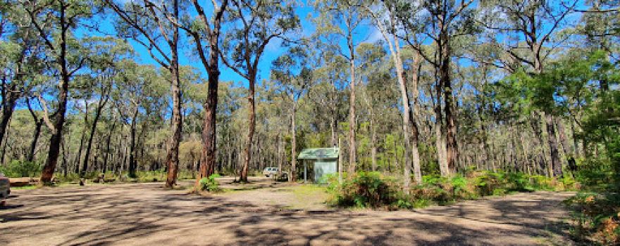 Forrest Yaugher MTB Trailhead