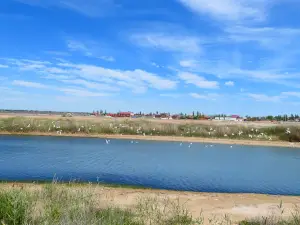 Park