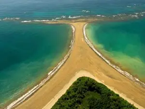 Osa Costa Rica