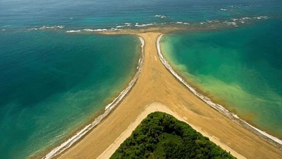Osa Costa Rica