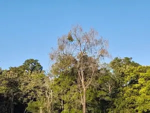 Mathanguri Picnic Spot