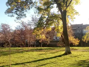New Park Sveti Nikole
