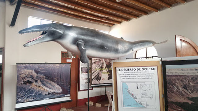 Museo Paleontológico de Ocucaje