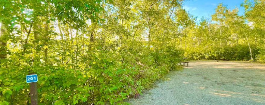 Moose Mountain Campground
