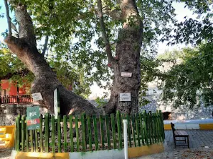 Pınarbaşı Piknik Alanı