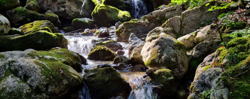 Reichenbachklamm