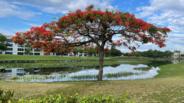Pine Island Ridge Country Club