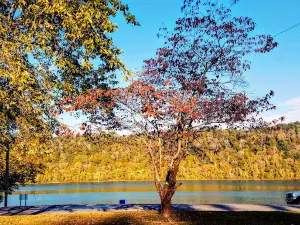 Schamback Park at Westport