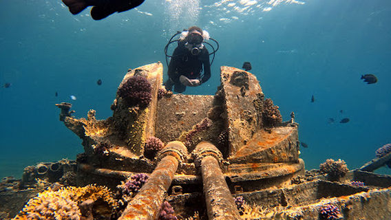 Aqaba Seahorse Dive Center