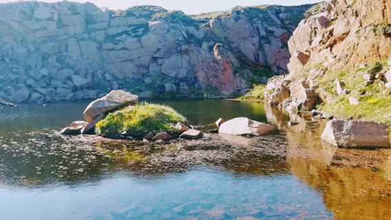 Longhaven Cliffs Nature Reserve