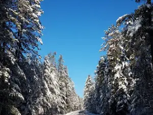 Big Aspen Trail