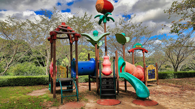 Kagawakenkinbuchi Forest Park