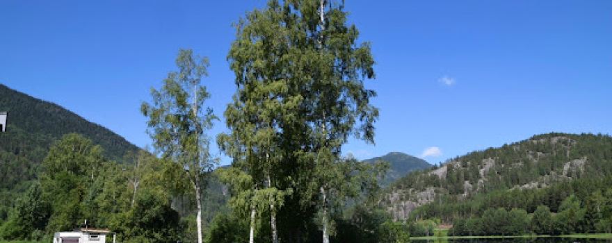 Nor Kro Camping