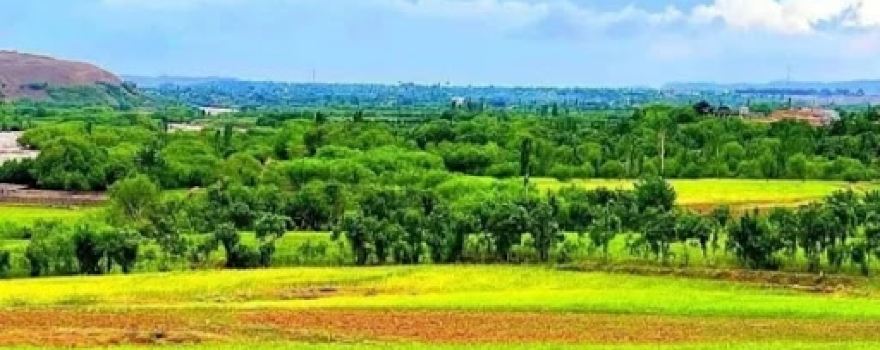 Qala-e-sharbat