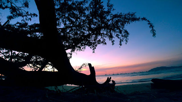 Fishing charter beach pickup point