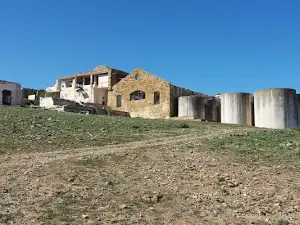 Plage Oued El Abid