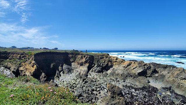 Mendocino Garden Shop