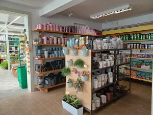 Garden Center Iva