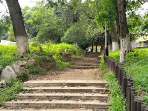 Estufa