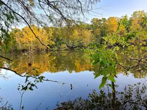Shirey Bay Rainey Brake WMA