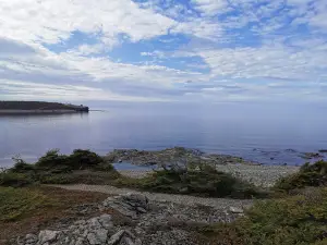 Crow Head Walking Trail