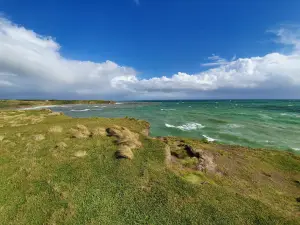 Cliffs at Fortrose (Mataura River Mouth)
