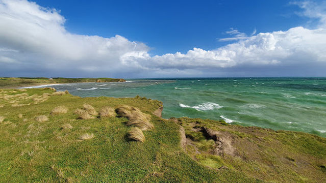 Cliffs at Fortrose (Mataura River Mouth)