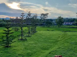 Wandee Camping & Cafe