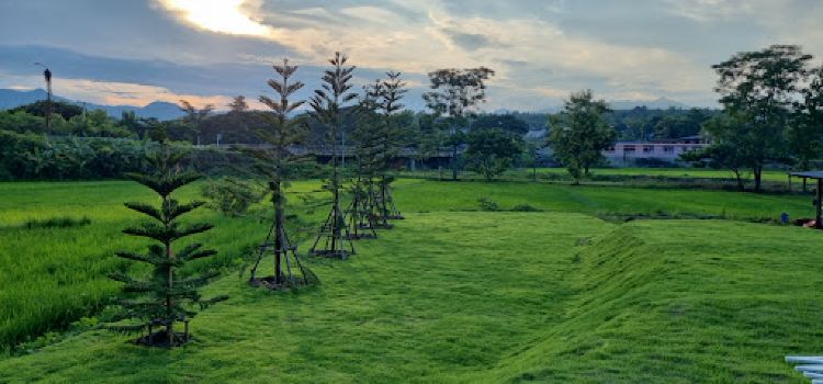 Wandee Camping & Cafe