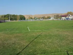 Stadionul Comunal SAELELE