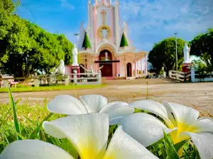 Nhà thờ Phù Mỹ