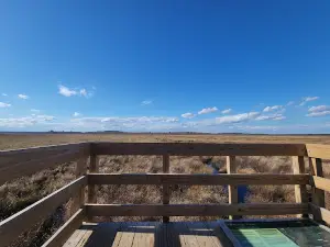 Sunkhaze Meadows National Wildlife Refuge