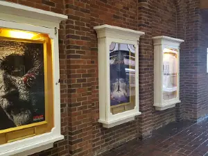 Track Cinema