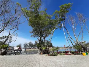 TALAO GREEN PARK