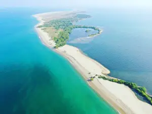 Boat Trip Kalpitiya | Dolphin Watching